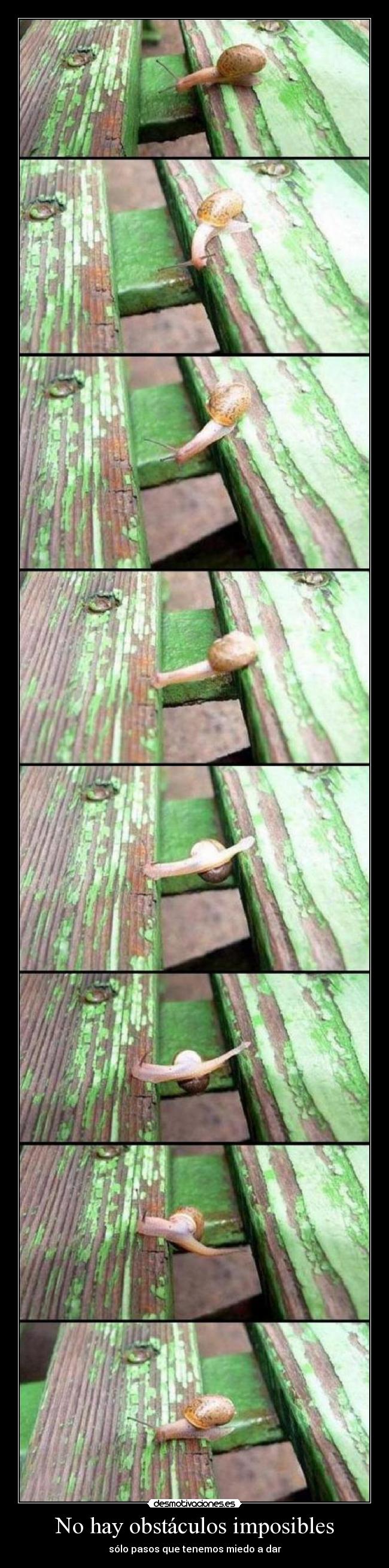 No hay obstáculos imposibles -