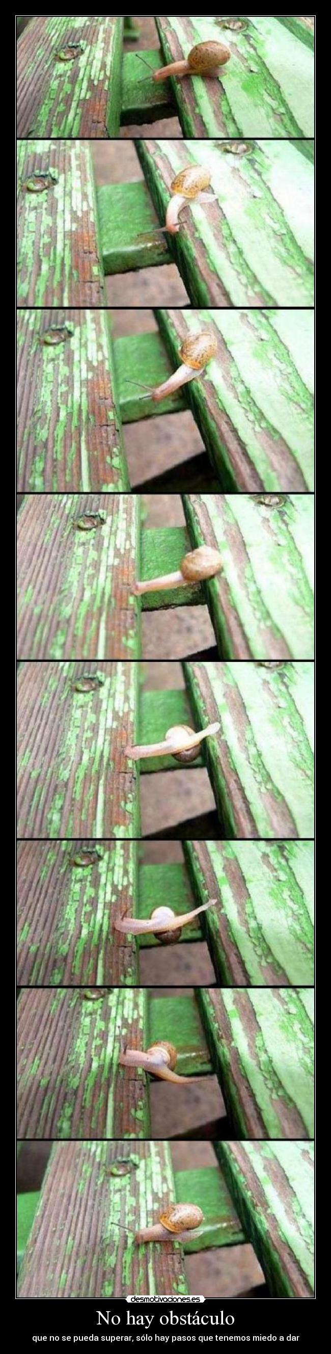 No hay obstáculo -