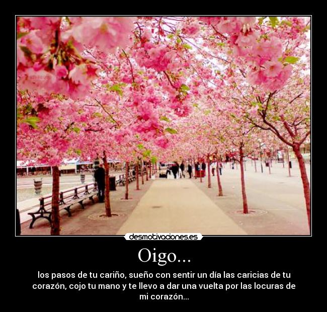 Oigo... - los pasos de tu cariño, sueño con sentir un día las caricias de tu
corazón, cojo tu mano y te llevo a dar una vuelta por las locuras de
mi corazón...