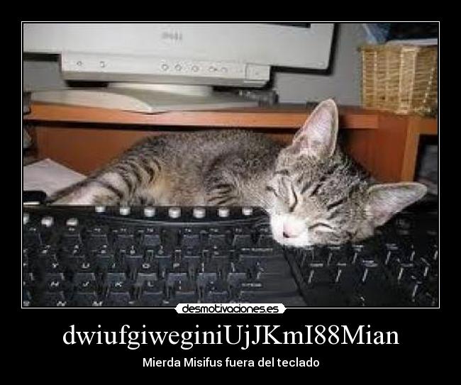 dwiufgiweginiUjJKmI88Mian - Mierda Misifus fuera del teclado