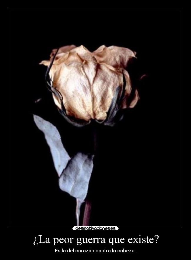 ¿La peor guerra que existe? - Es la del corazón contra la cabeza..