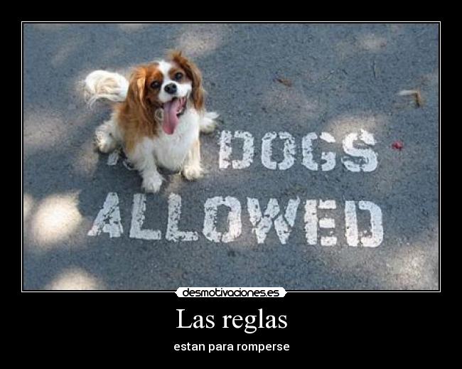 Las reglas -