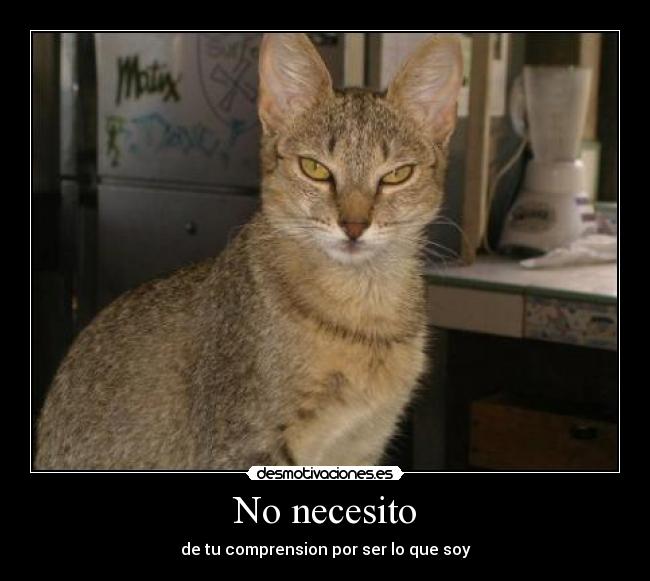 No necesito - 