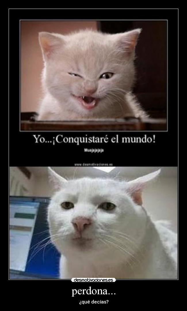 perdona... -