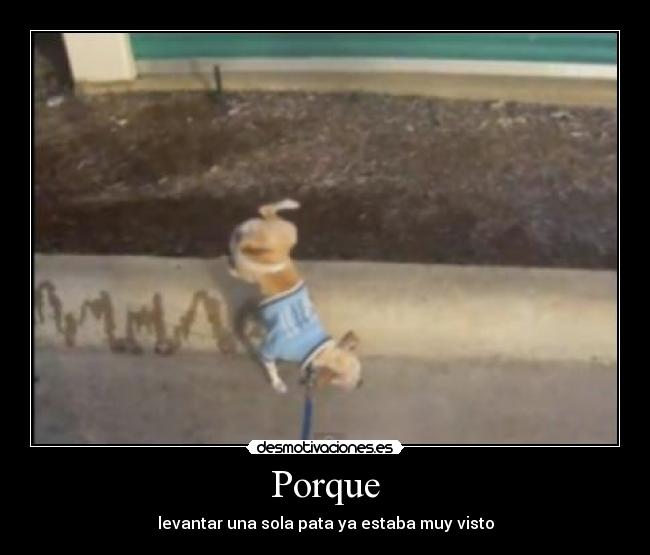 carteles perro desmotivaciones