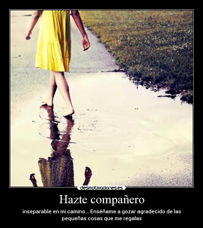 Hazte compañero - 