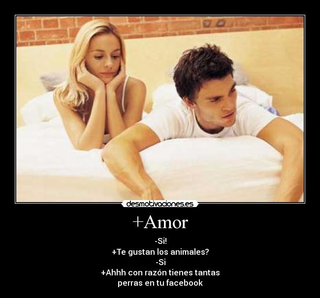 +Amor - -Si!
+Te gustan los animales?
-Si
+Ahhh con razón tienes tantas
perras en tu facebook