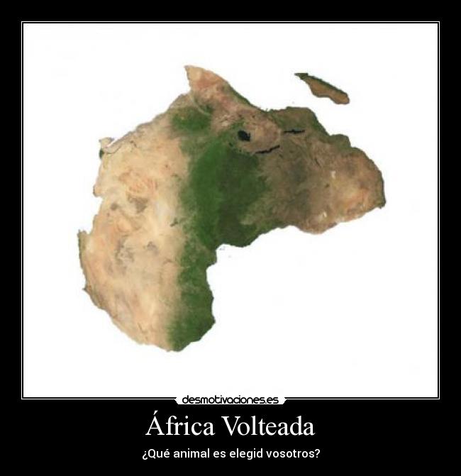África Volteada - ¿Qué animal es elegid vosotros?