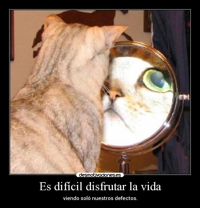 Es difícil disfrutar la vida - viendo soló nuestros defectos.