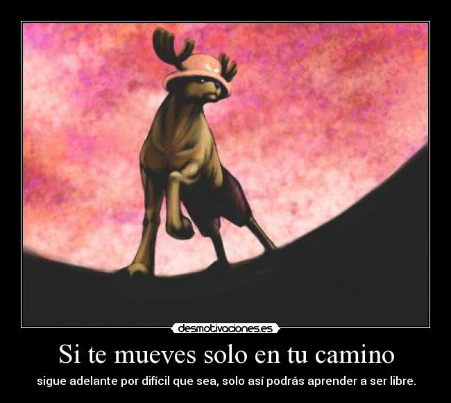 carteles one piece desmotivaciones