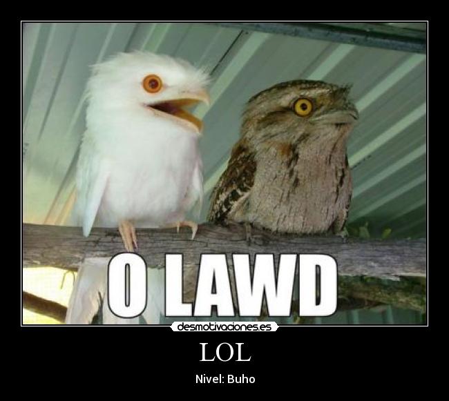 LOL - Nivel: Buho