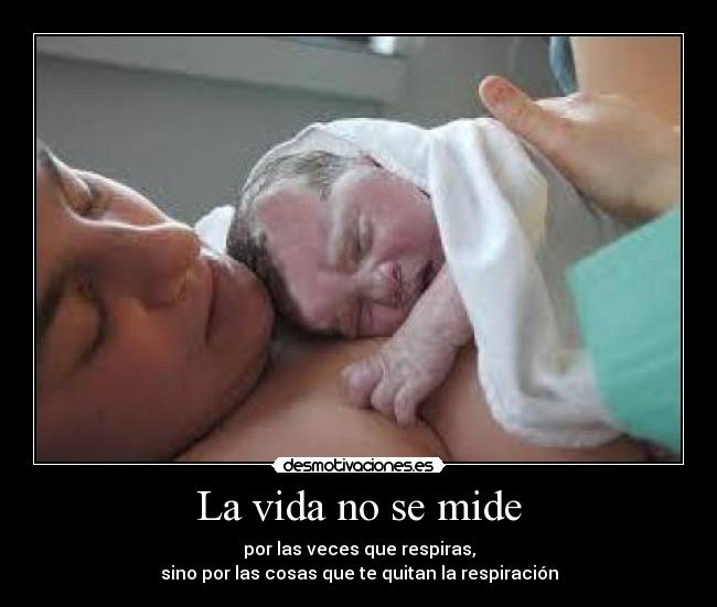 carteles vida mariinar desmotivaciones