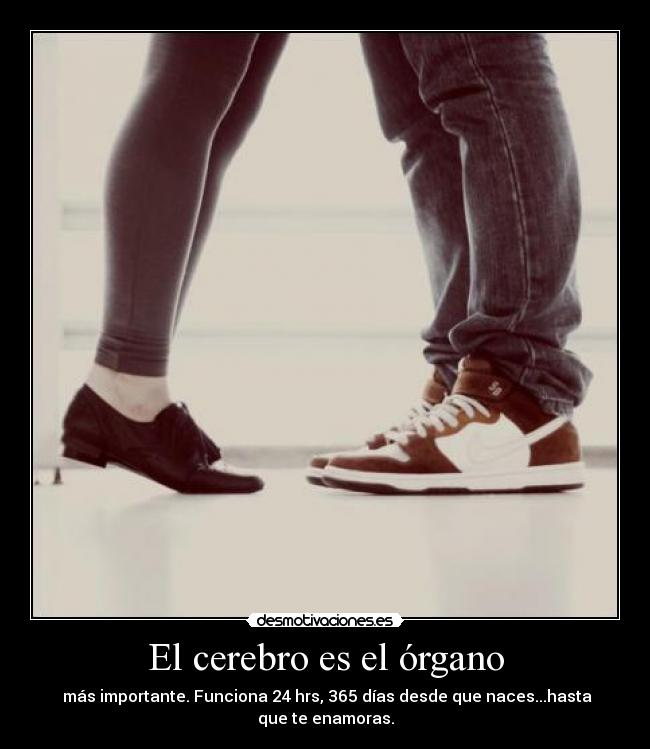 carteles desmotivaciones