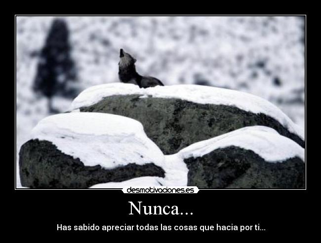 Nunca... - 