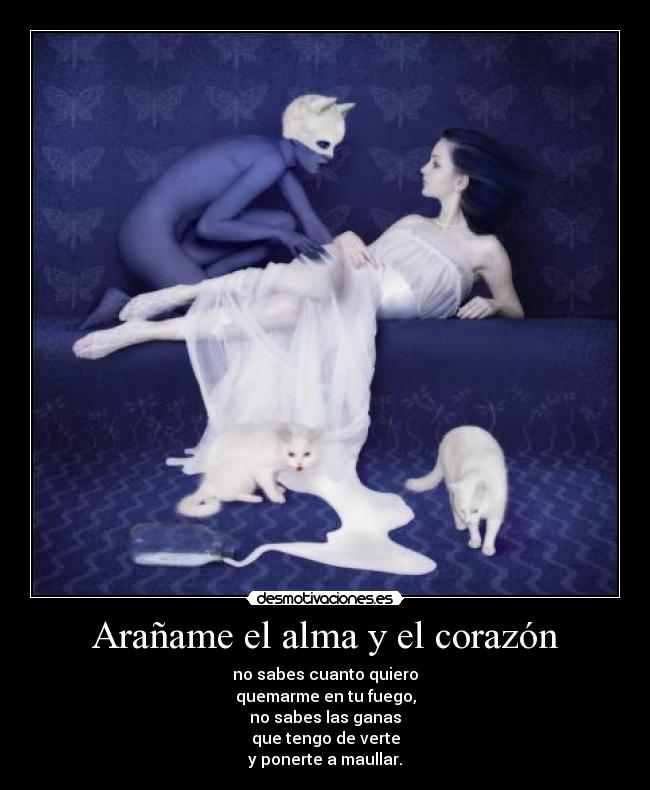 Arañame el alma y el corazón - 