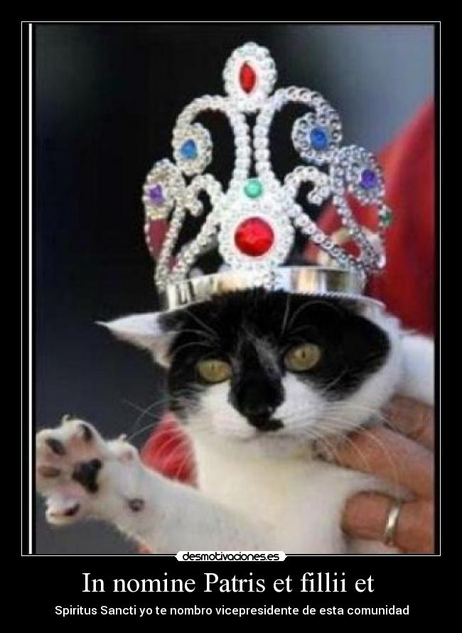In nomine Patris et fillii et - Spiritus Sancti yo te nombro vicepresidente de esta comunidad