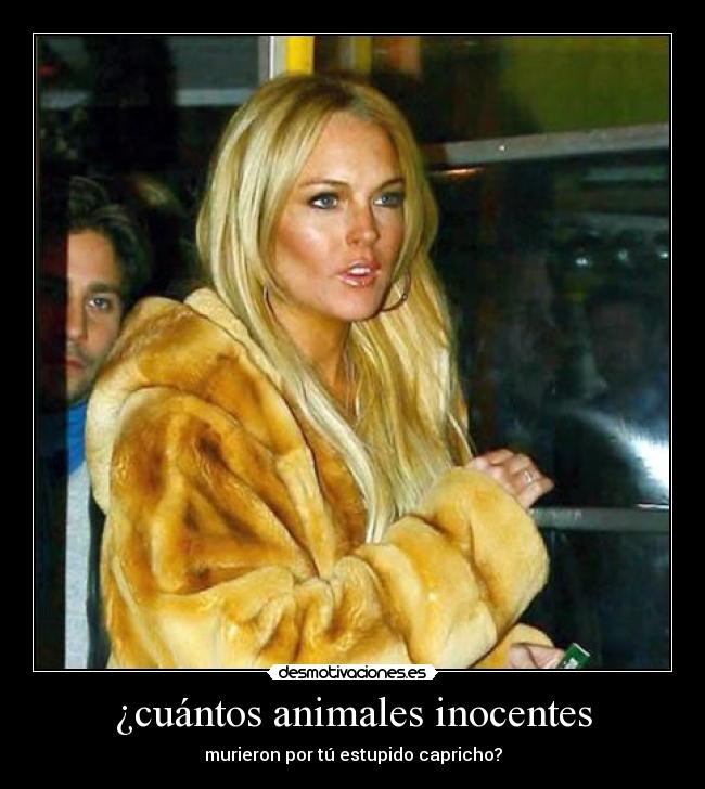 ¿cuántos animales inocentes -