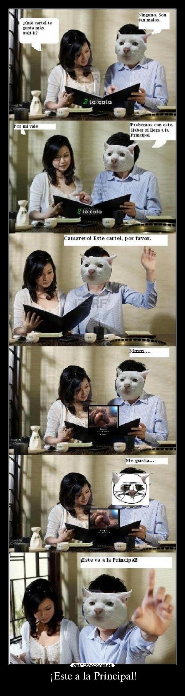 ¡Este a la Principal! -