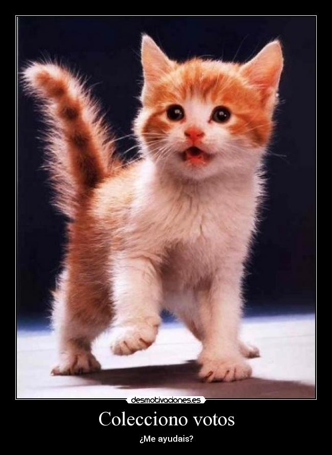 carteles rocio14 desmotivaciones