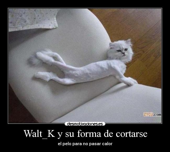 Walt_K y su forma de cortarse - el pelo para no pasar calor