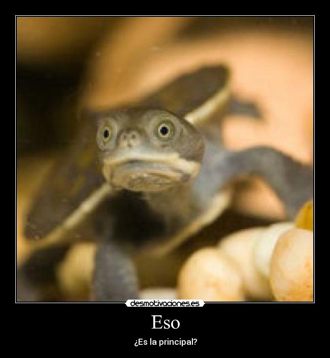 Eso -