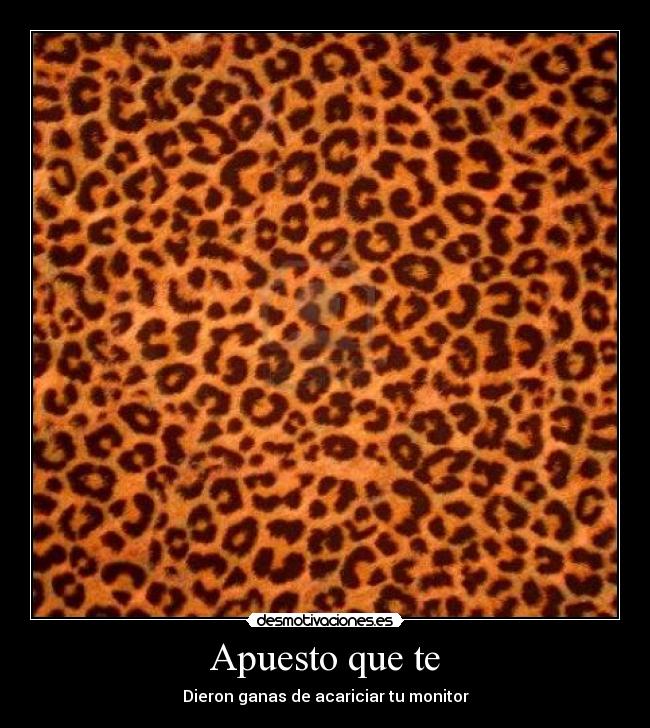 Apuesto que te - Dieron ganas de acariciar tu monitor