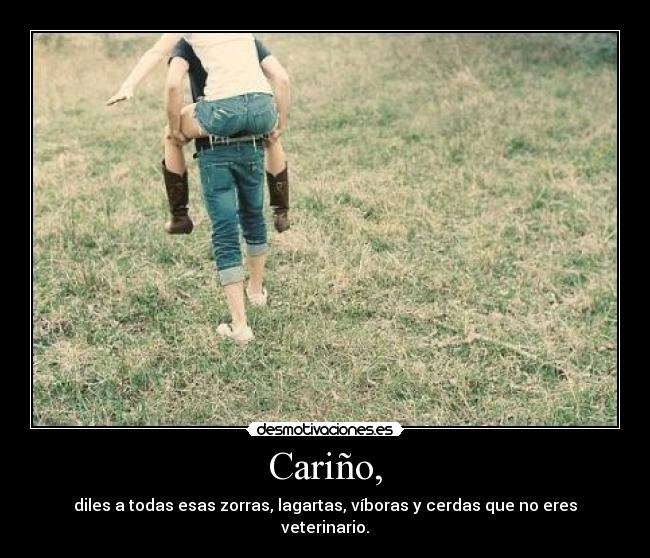 Cariño, - diles a todas esas zorras, lagartas, víboras y cerdas que no eres veterinario.