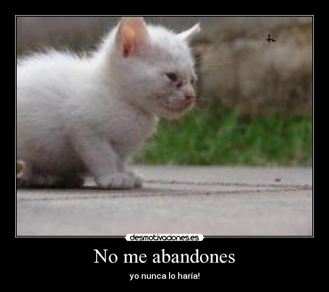 No me abandones - yo nunca lo haría!
