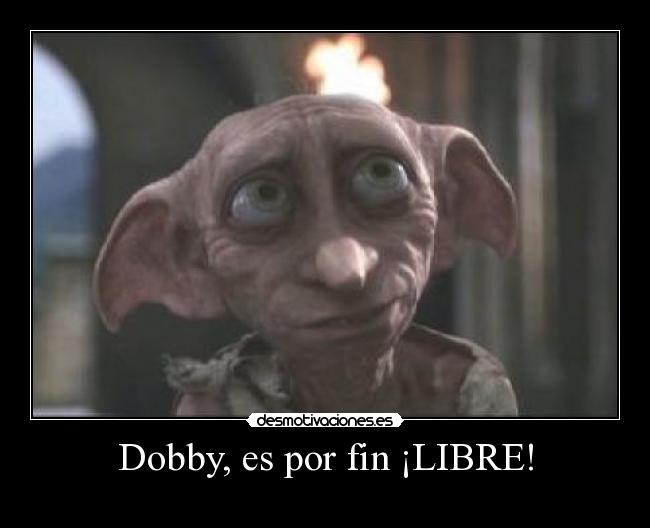 Dobby, es por fin ¡LIBRE! -
