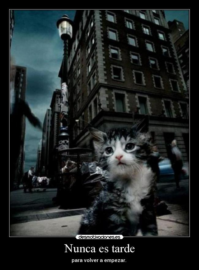 Nunca es tarde -