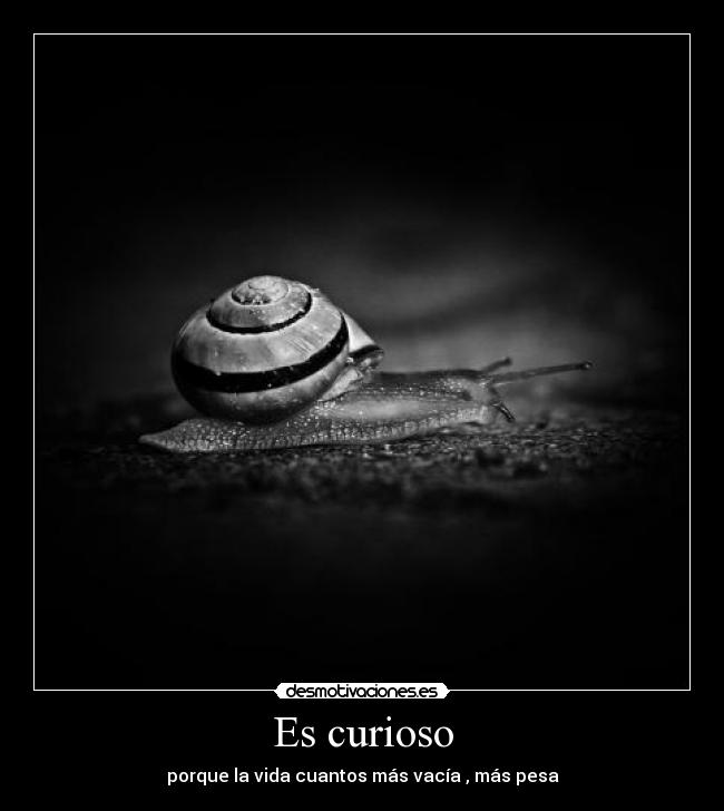 Es curioso - porque la vida cuantos más vacía , más pesa