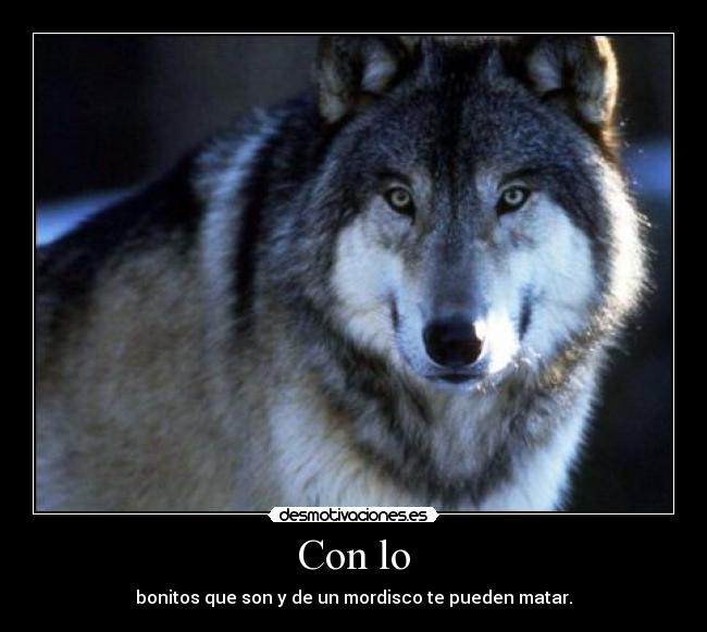 Con lo - bonitos que son y de un mordisco te pueden matar.