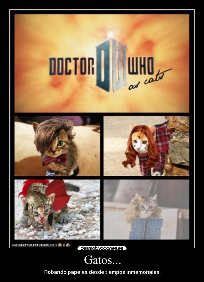 Gatos... - Robando papeles desde tiempos inmemoriales.