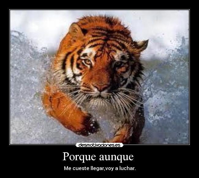 Porque aunque -