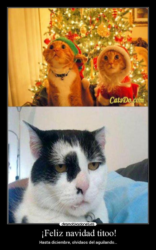 ¡Feliz navidad titoo! -