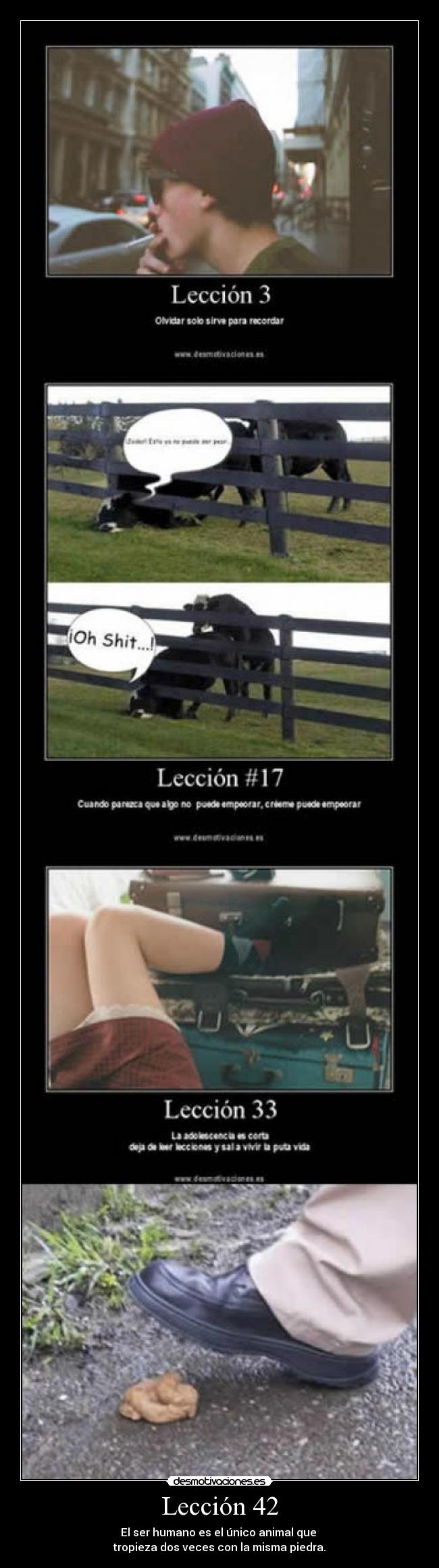 Lección 42 - El ser humano es el único animal que
tropieza dos veces con la misma piedra.