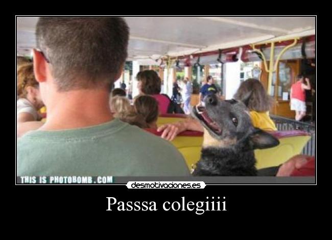 Passsa colegiiii -