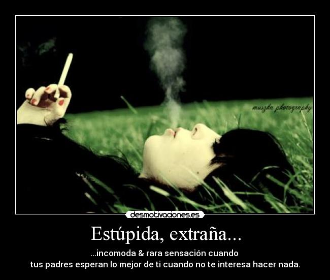 Estúpida, extraña... - ...incomoda & rara sensación cuando
tus padres esperan lo mejor de ti cuando no te interesa hacer nada.