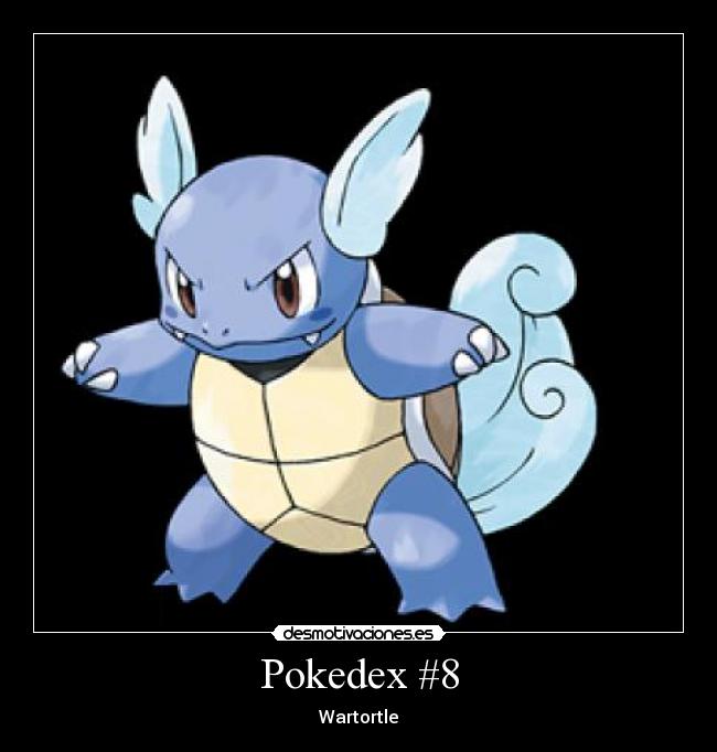 Pokedex #8 - Wartortle