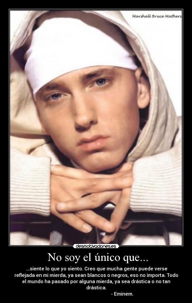  No soy el único que... -  ...siente lo que yo siento. Creo que mucha gente puede verse
reflejada en mi mierda, ya sean blancos o negros, eso no importa. Todo
el mundo ha pasado por alguna mierda, ya sea drástica o no tan
drástica.
                                            - Eminem.