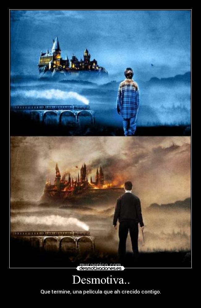 carteles harry potter desmotivaciones