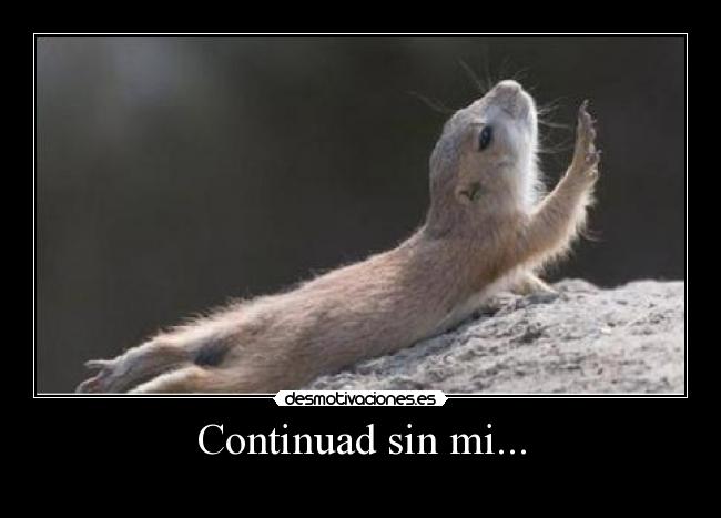Continuad sin mi... -