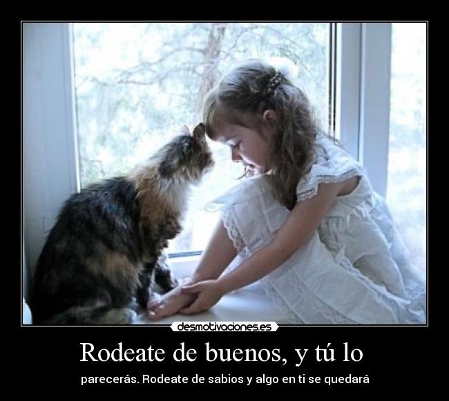 Rodeate de buenos, y tú lo  - 