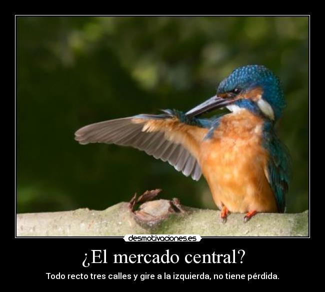 ¿El mercado central? -