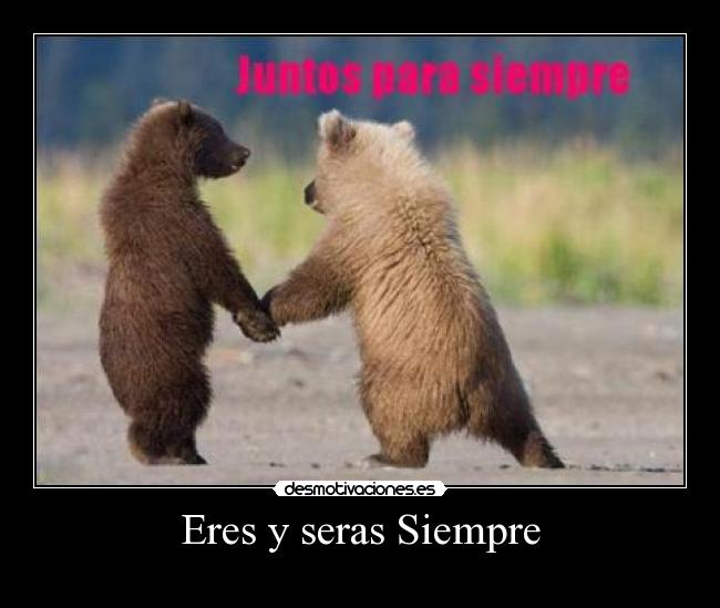 carteles juntos por siempre desmotivaciones