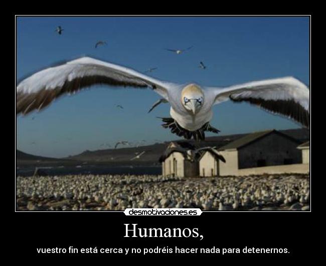 Humanos, - 