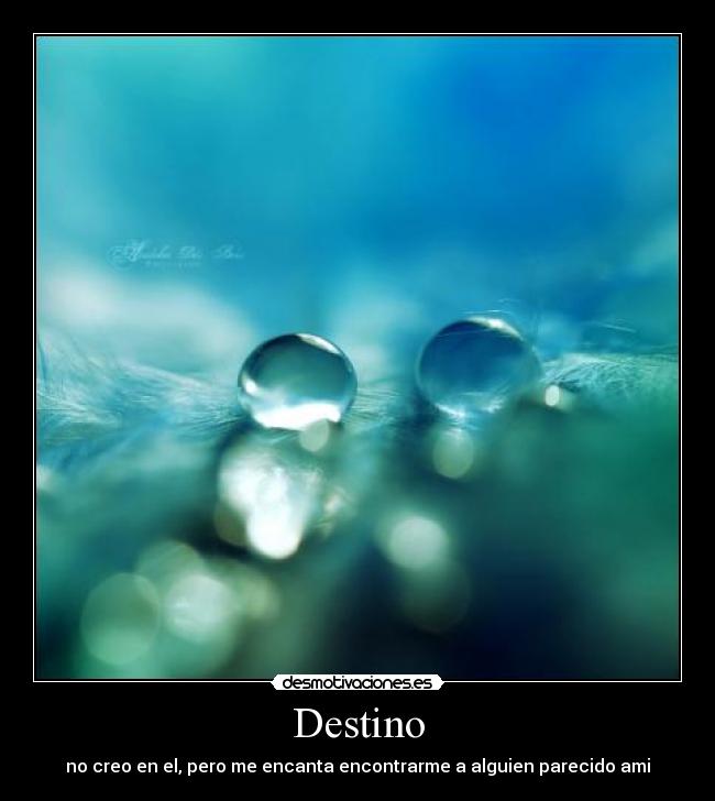 Destino -