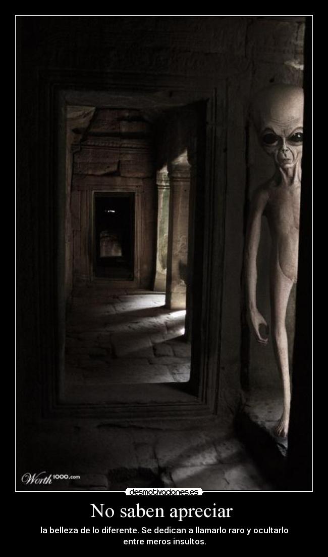 No saben apreciar  - 