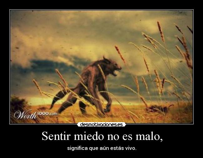 Sentir miedo no es malo, - significa que aún estás vivo.