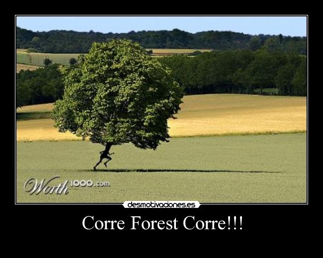 Corre Forest Corre!!! -